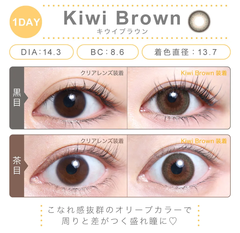 キウイブラウン（1DAY）