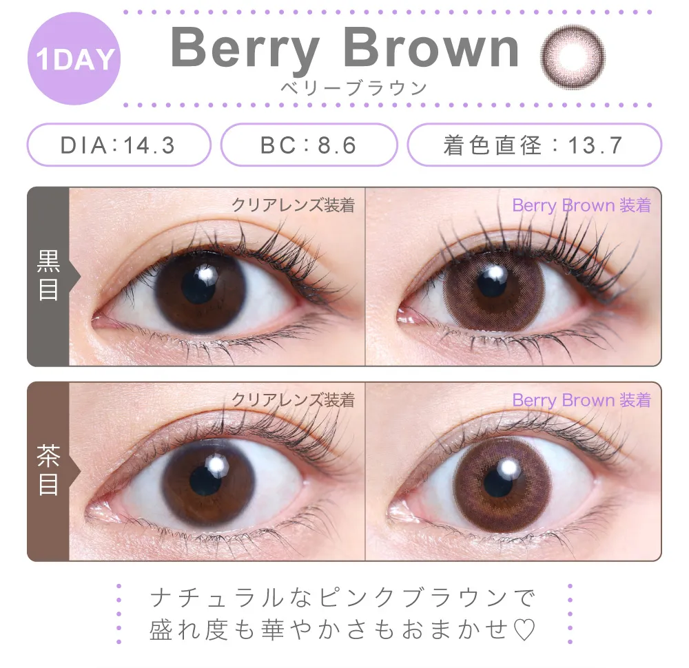 ベリーブラウン（1DAY）