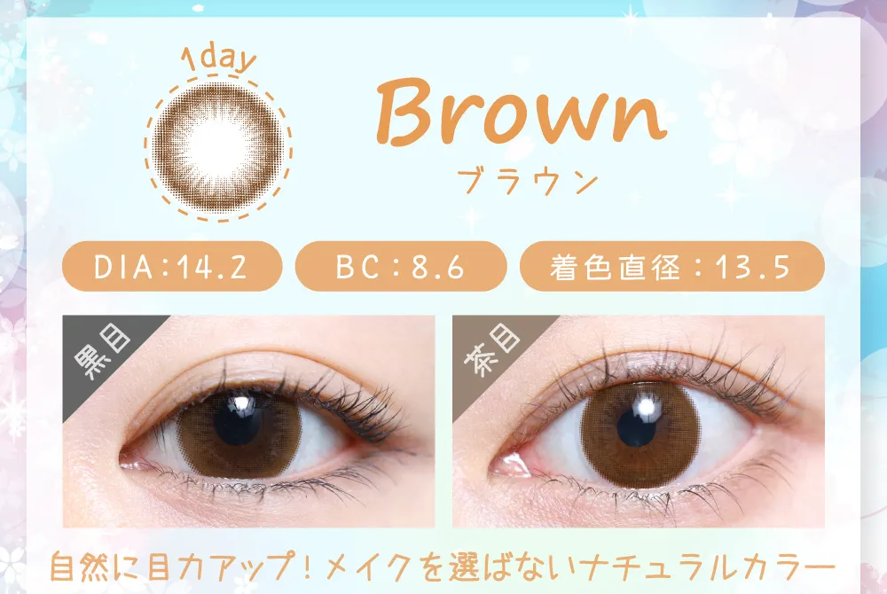 ブラウン（1DAY）