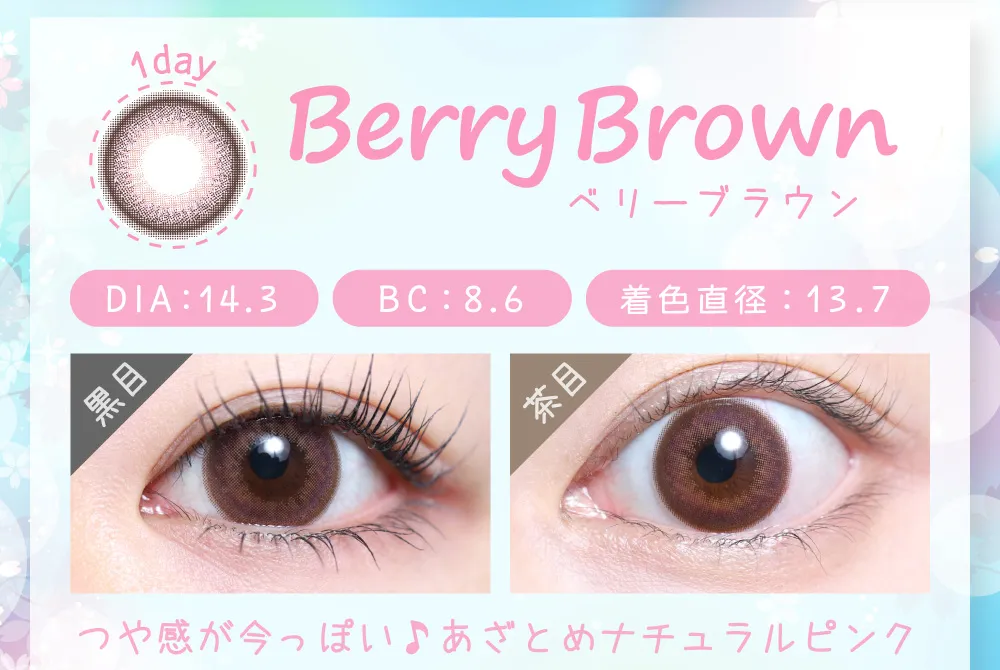 ベリーブラウン（1DAY）