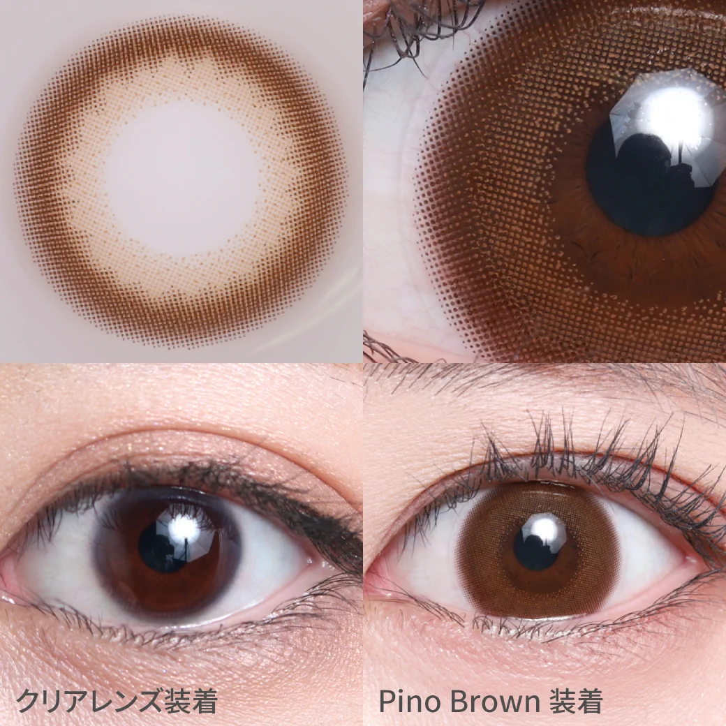 ピノブラウンの着画