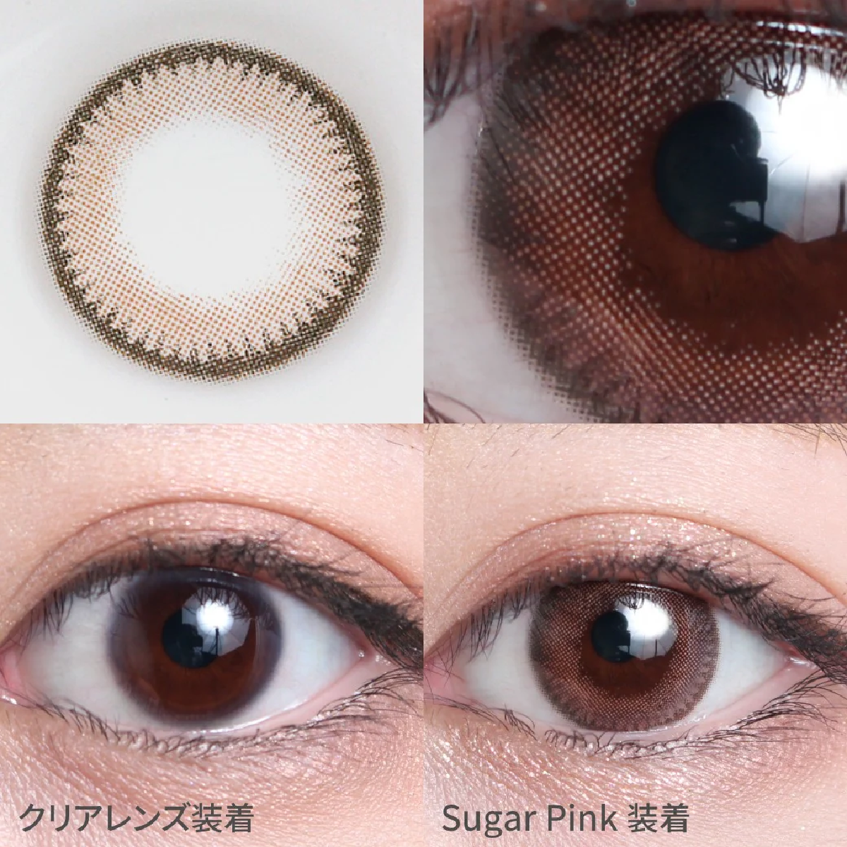 シュガーピンクの着画