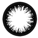 タフブラック（14.5）レンズ画像