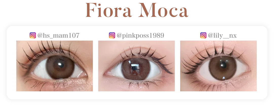 ビーバニーの装用画像