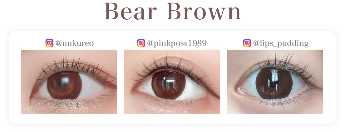 ベアブラウンの装用画像