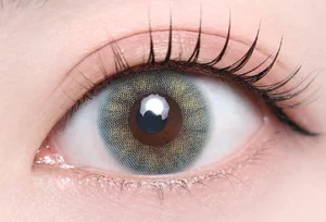 アビスグレー（1DAY）_スタッフ