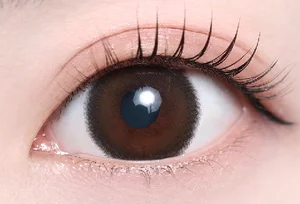 エンジェルティアー_スタッフ