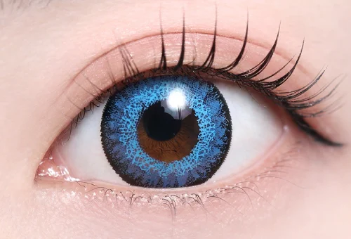 ルルコーラル_スタッフ