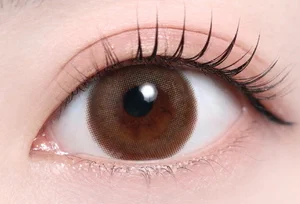 ビアナブラウン（低含水）_スタッフ