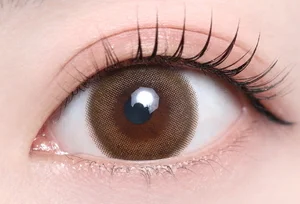 ビアナブラウン_スタッフ