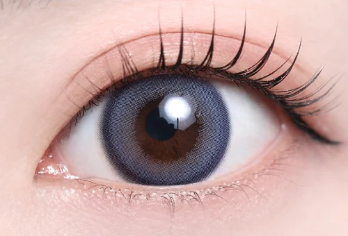 ダスブルージュ（1DAY）_スタッフ