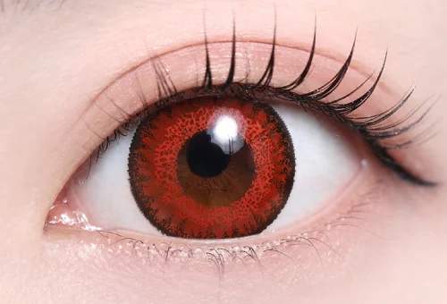 フランメレッド_スタッフ