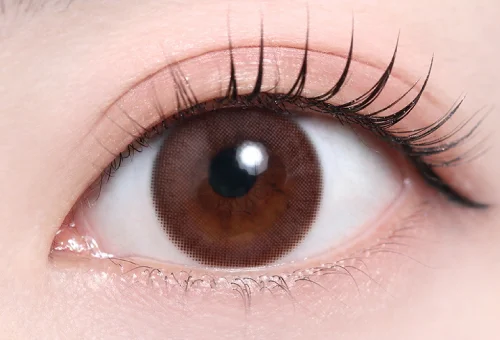 フォンダショコラ（低含水）_スタッフ