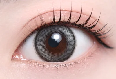 キトゥングレー_スタッフ