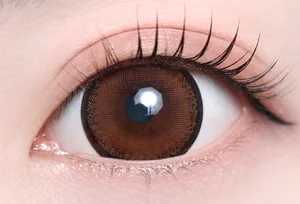 レーシーブラウン（1DAY）_スタッフ