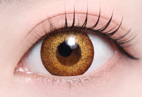 ラゼグリーン_スタッフ