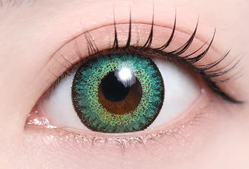 ラゼグリーン_スタッフ