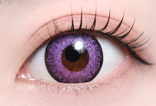 サターンバイオレット_スタッフ