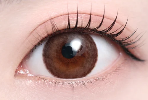 スウィートノアール（低含水）_スタッフ