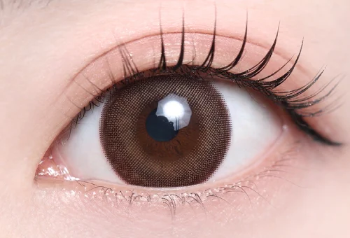 スウィートノアール_スタッフ