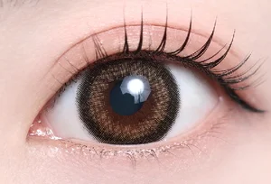 ウィズヒメ_スタッフ