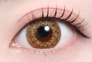 ディ.アモールブラウン_スタッフ