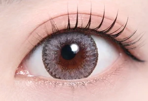 クラッシーグレー_スタッフ