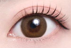 ダスベージュ（1MONTH）_スタッフ