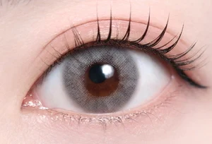 フェードグレー_スタッフ