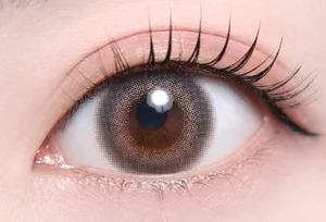 フェリスグレー_スタッフ