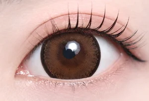 レーシーブラウン（1MONTH）_スタッフ