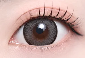 レーシーグレー（1MONTH）_スタッフ