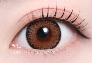 マーリーブラウン_スタッフ