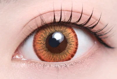 レネルオレンジ_スタッフ