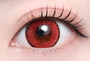 レネルレッド_スタッフ