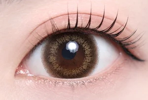 リラブラウン_スタッフ