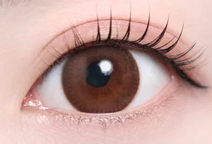 ロシェブラウン_スタッフ