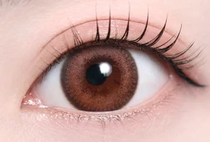 シュガーピンク_スタッフ