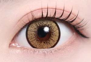 ティアリーブラウン_スタッフ