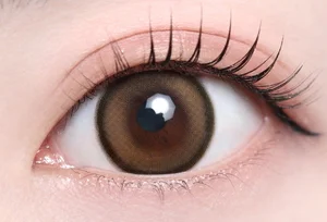 ツイントブラウン_スタッフ