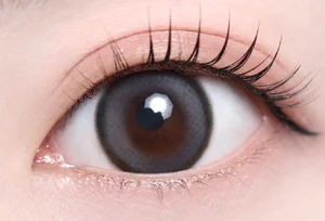 ツイントグレー_スタッフ