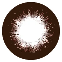 ベアブラウン_レンズ