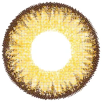 ラゼグリーン_レンズ