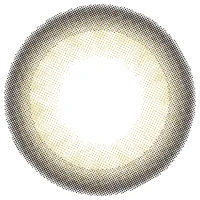 オークオリーブ_レンズ