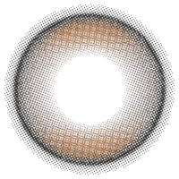 プリズムブラック_レンズ