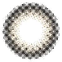 ウィズヒメ_レンズ