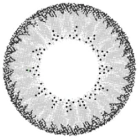 クラッシーグレー_レンズ