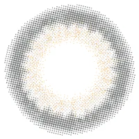 フェリスグレー_レンズ