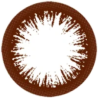 ナチュラルブラック 14.0mm_レンズ