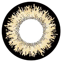 ナヴィブラウン_レンズ